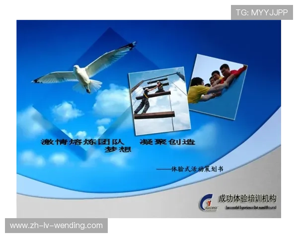 鹰伯尔模块化健身系统：自由组合训练方案