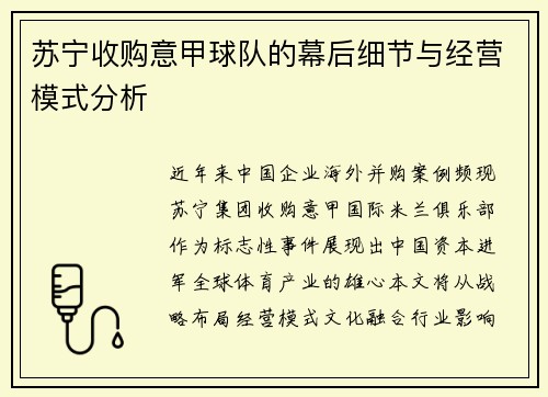 苏宁收购意甲球队的幕后细节与经营模式分析